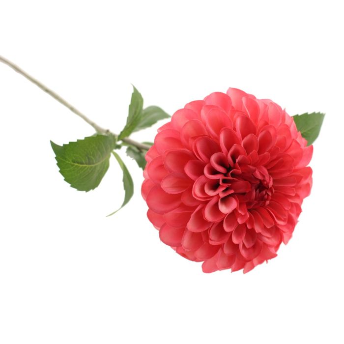 75cm Ball Dahlia Pink