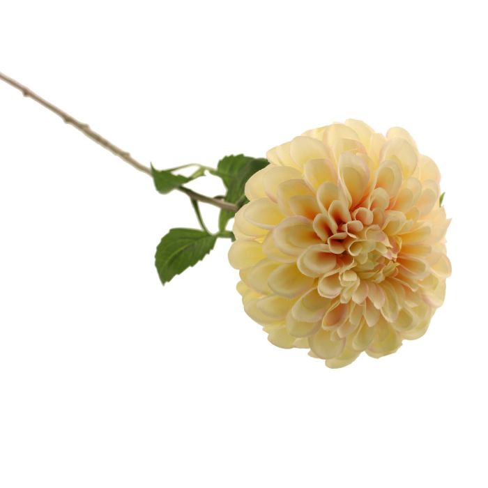 75cm Ball Dahlia Peach