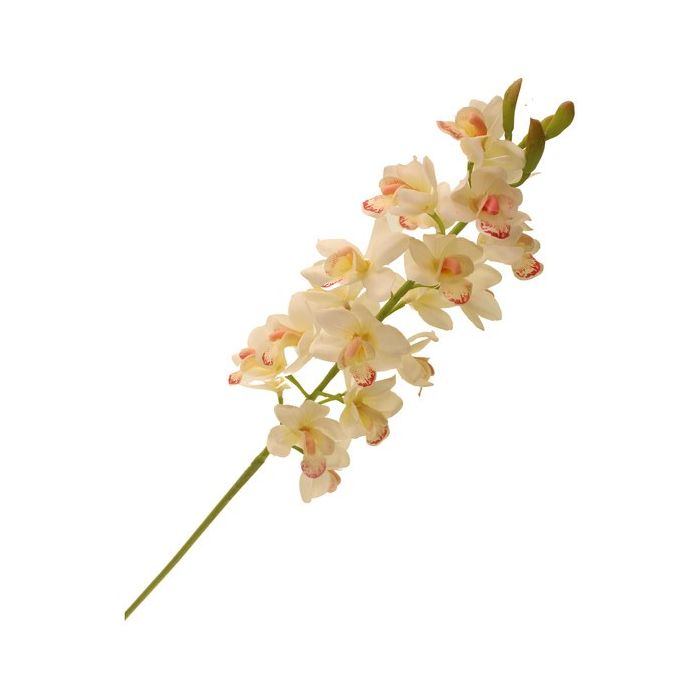 83cm Cymbidium Orchid Spray Cream