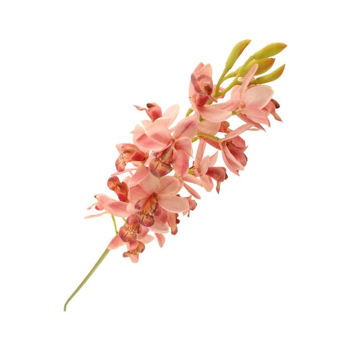 83cm Cymbidium Orchid Spray Pink