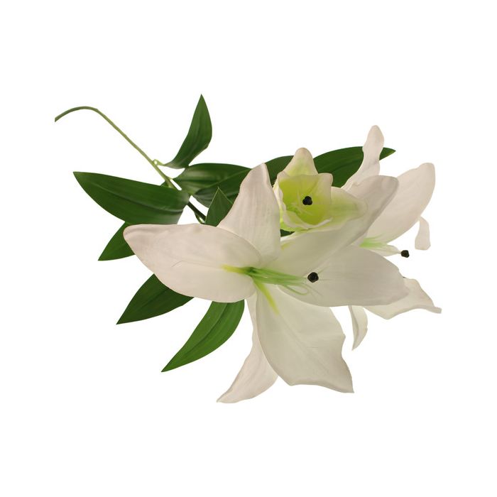 103cm Giant Tiger Lily Spray With Bud White