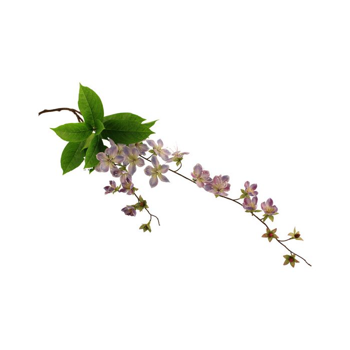 107cm Claire De Lune Clematis Light Blue