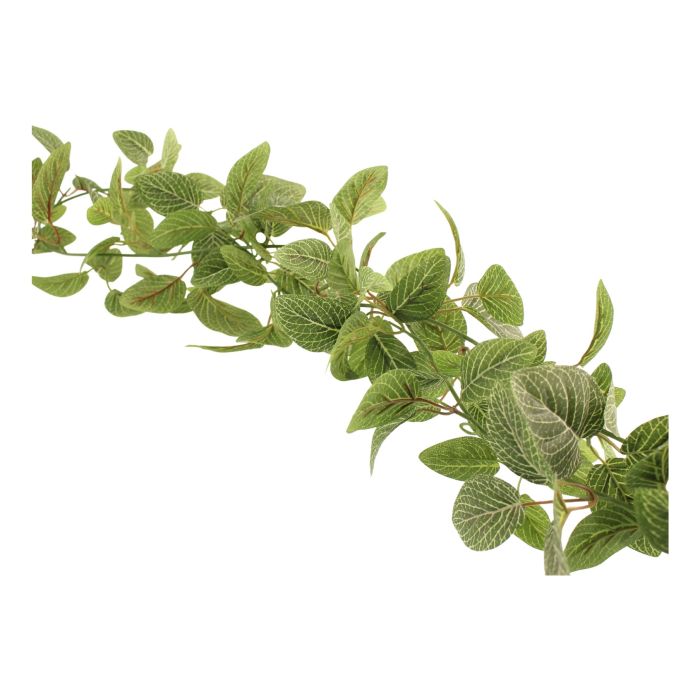 180cm Fittonia Garland Green/White