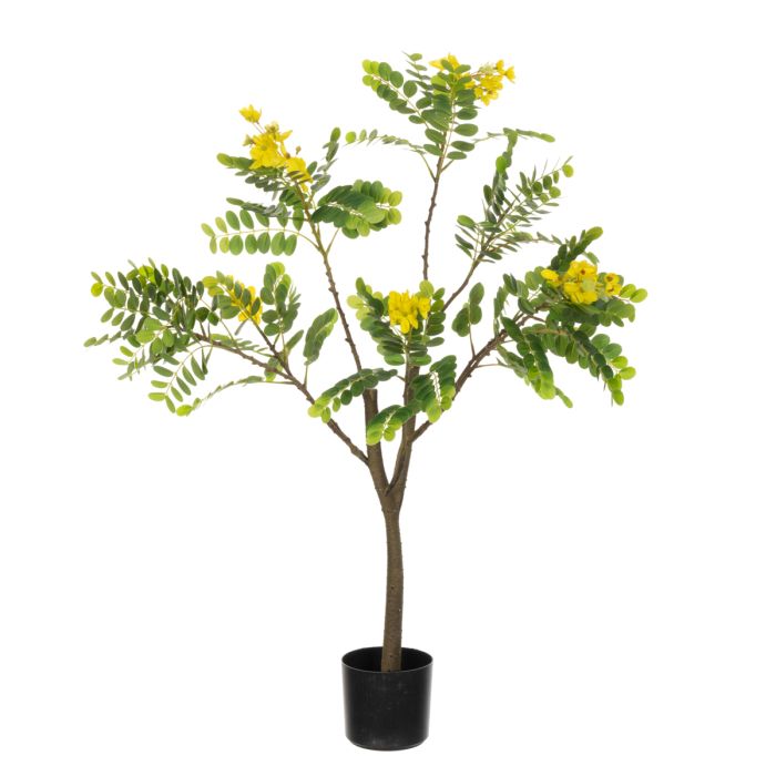 Sunshine Tree 94cm