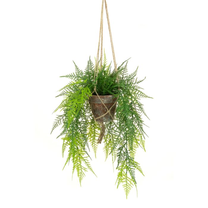 Hanging Fern in Pot - 56cm