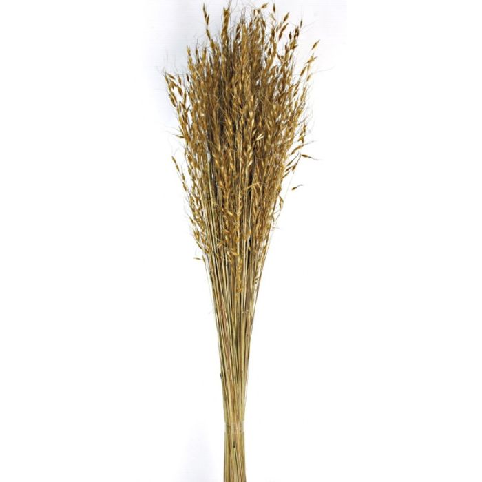Princess Grass - Natural 80 - 100cm