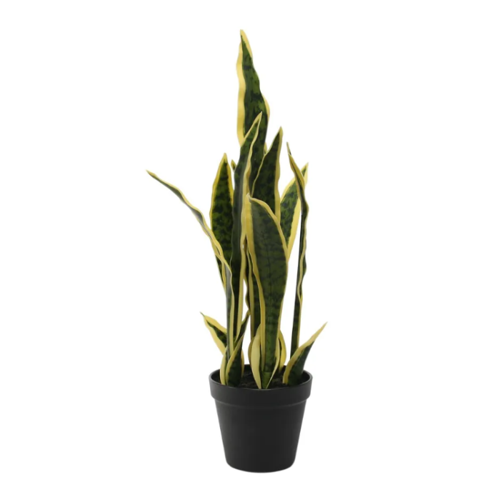 51cm Artificial Sansevieria