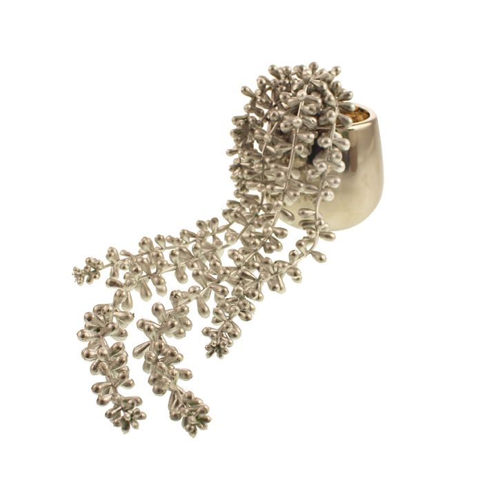 String of Pearls in Silver Pot Silver