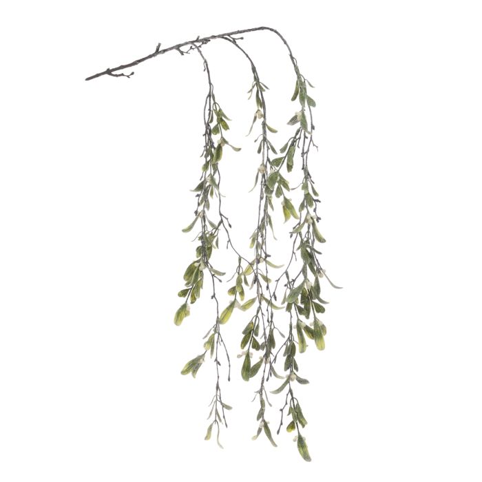Trailing Frosted Mistletoe 109cm