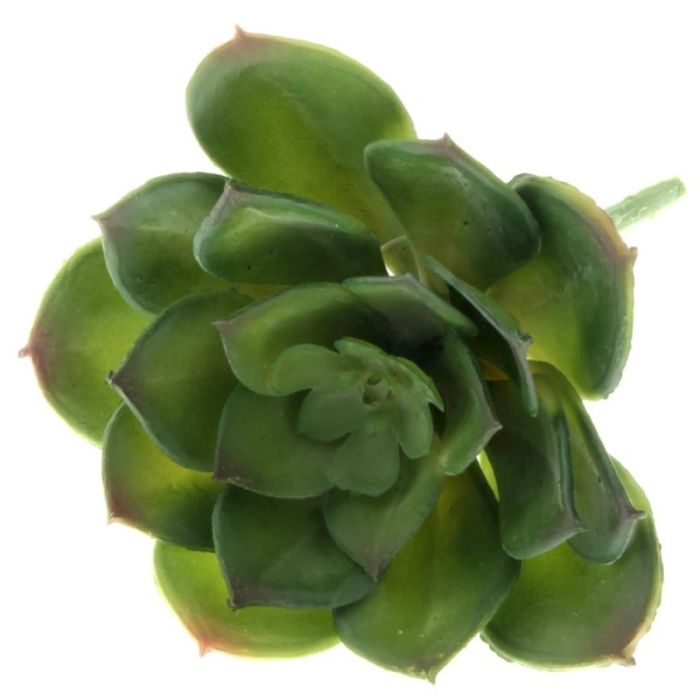 Artificial Succulent - Echeveria 10cm Green