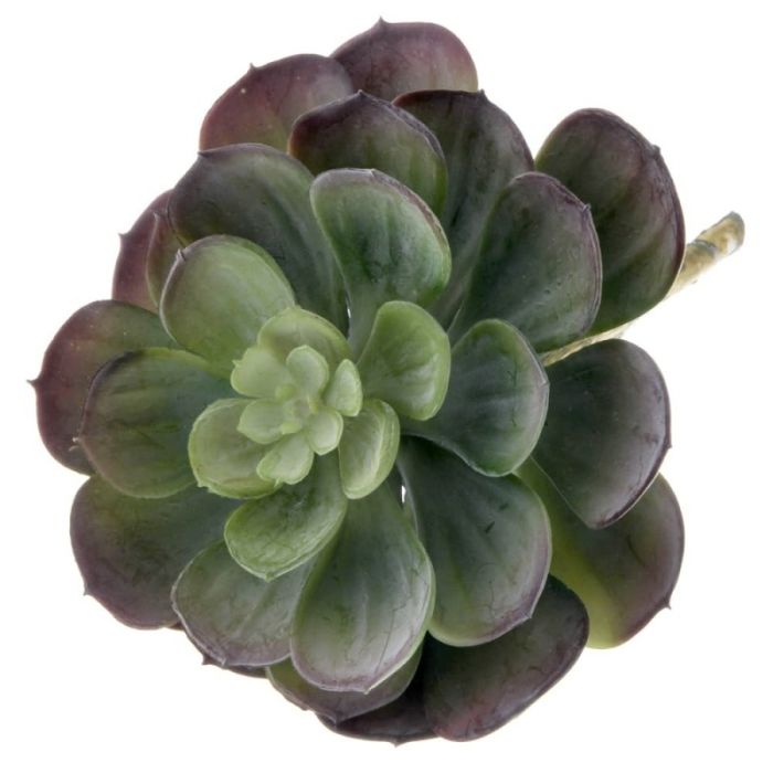 Artificial Succulent - Large Echeveria 15cm - Green