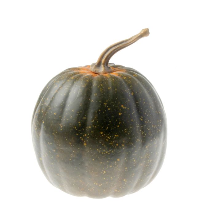 Green Appalachian Pumpkin (15x19cm)