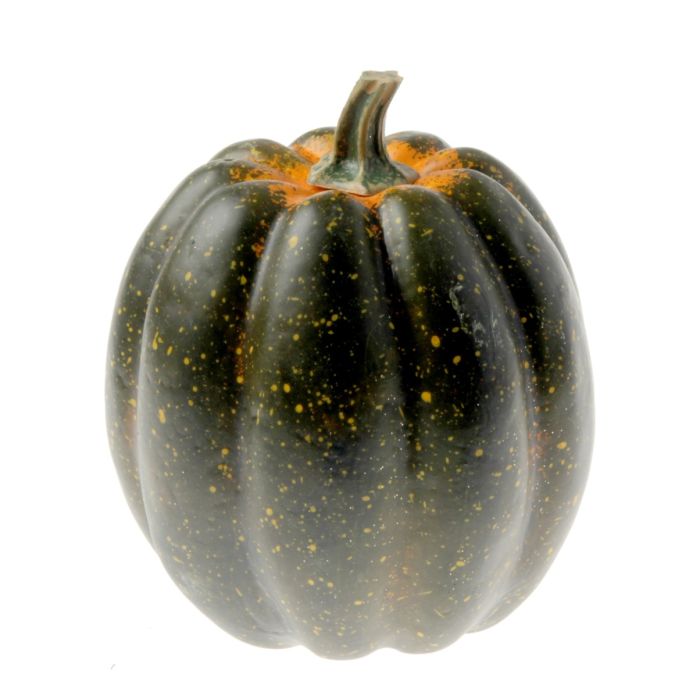 Large Green Appalachian Pumpkin (24x25cm)