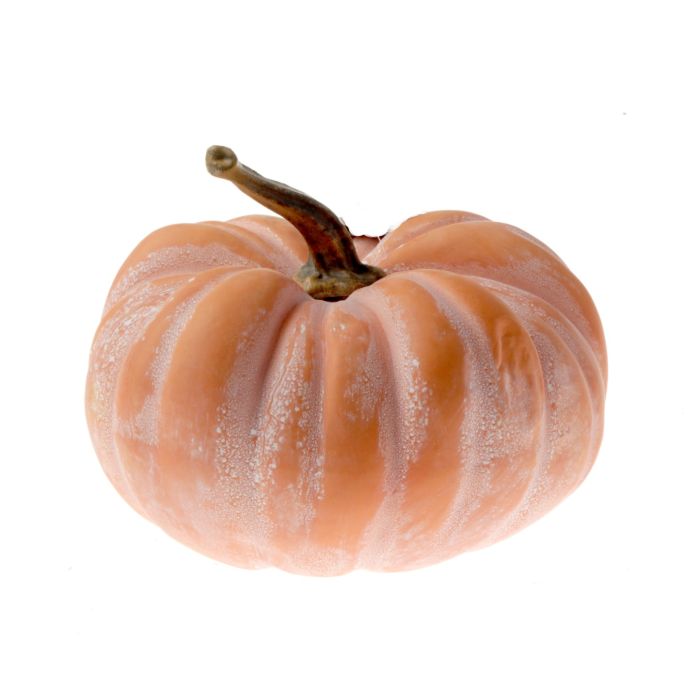 Medium Terracotta Pumpkin (25x21cm)