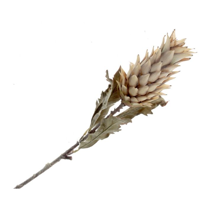 Dry Artificial Pineapple Fruit Spray - Brown/Beige 80cm