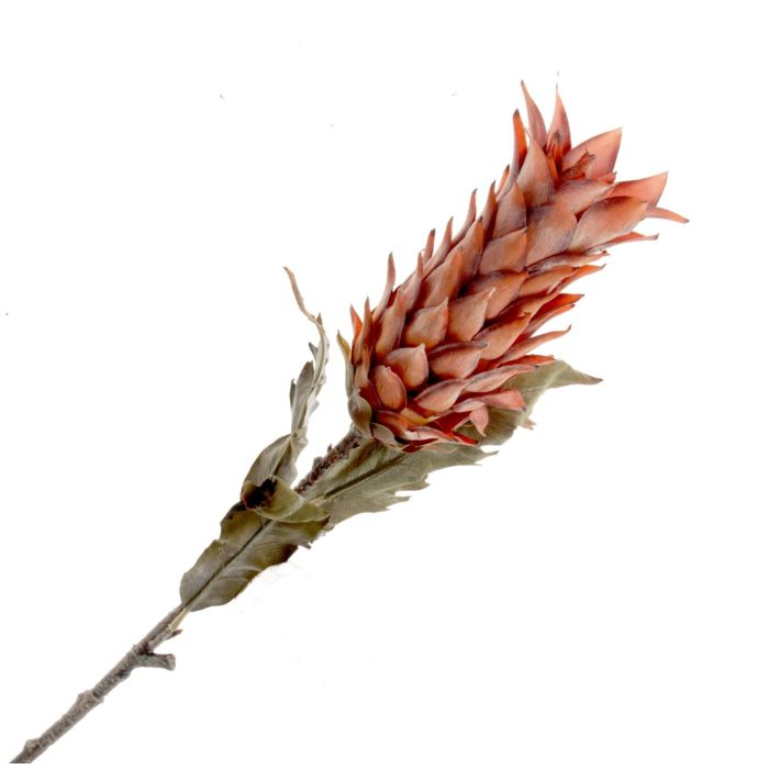 Dry Artificial Pineapple Fruit Spray - Orange 80cm