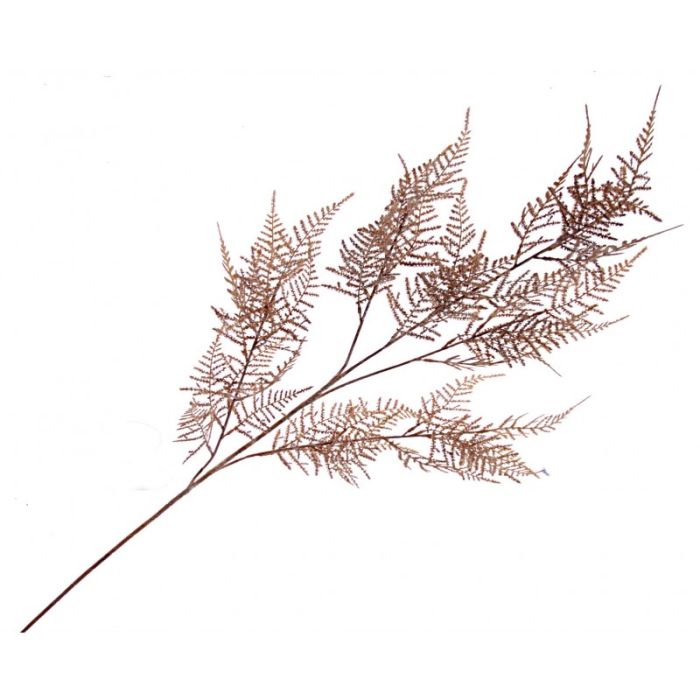 Single Asparagus Fern Spray - Brown 107cm