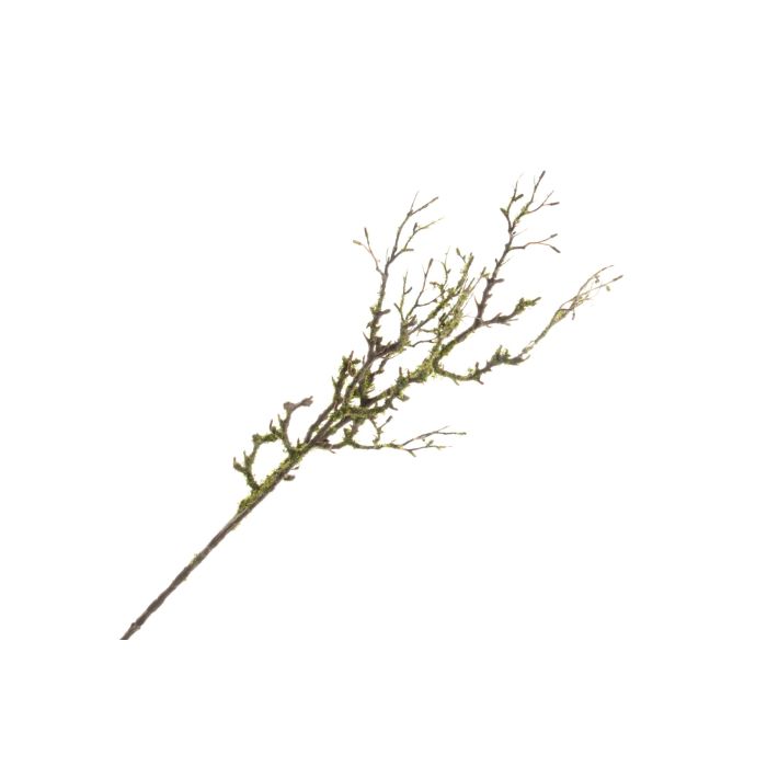 Mossed Willow Spray - Natural 90cm
