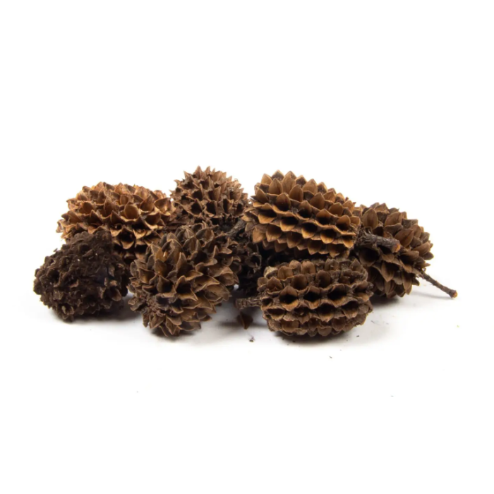Casuarina Heads Natural x 1kg