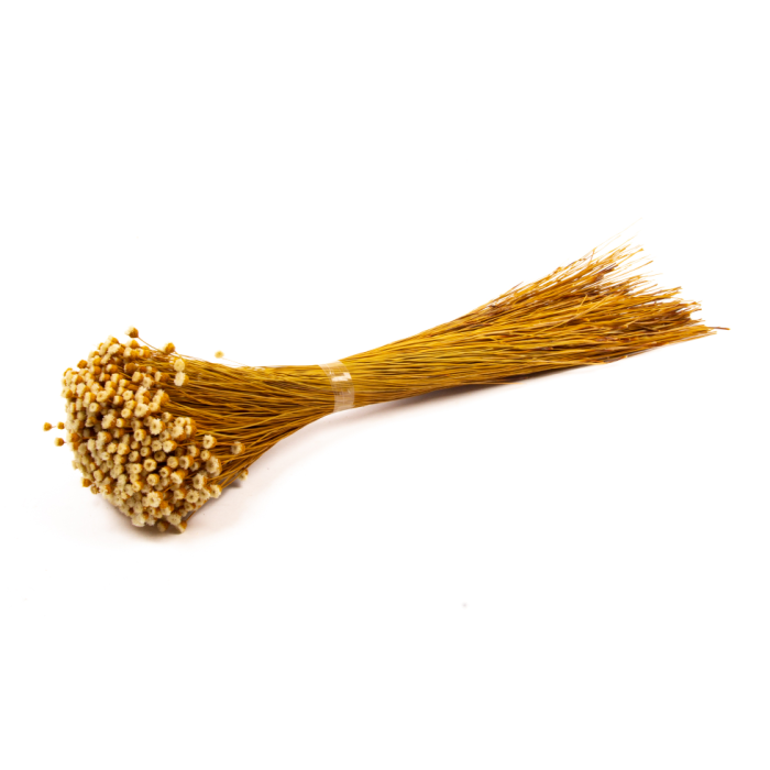 Happy Flower Natural