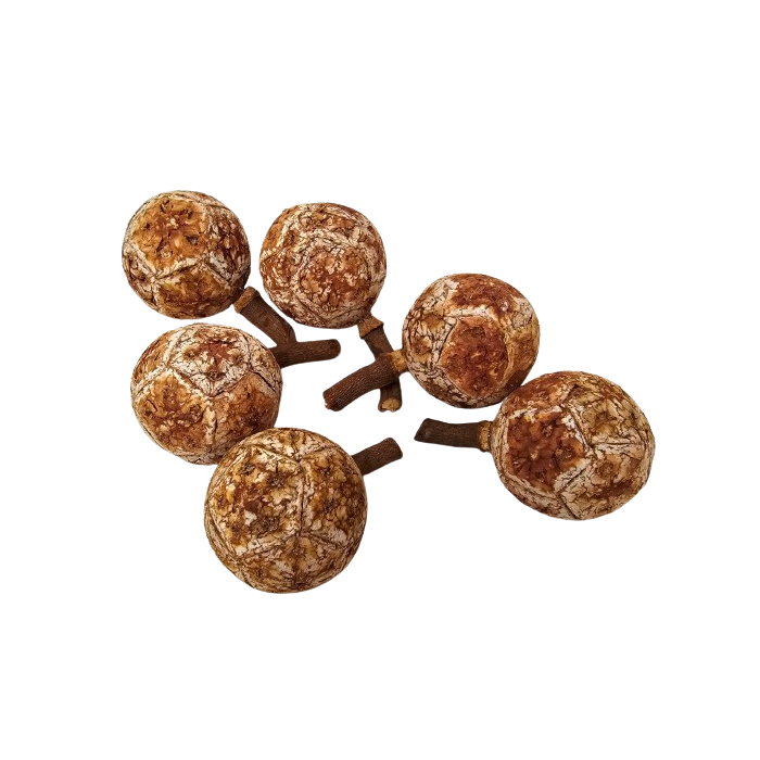 Maluku Fruit x 6pcs App 5cm Diameter