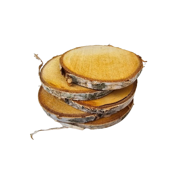 Wood Slice 12-14cm x 5