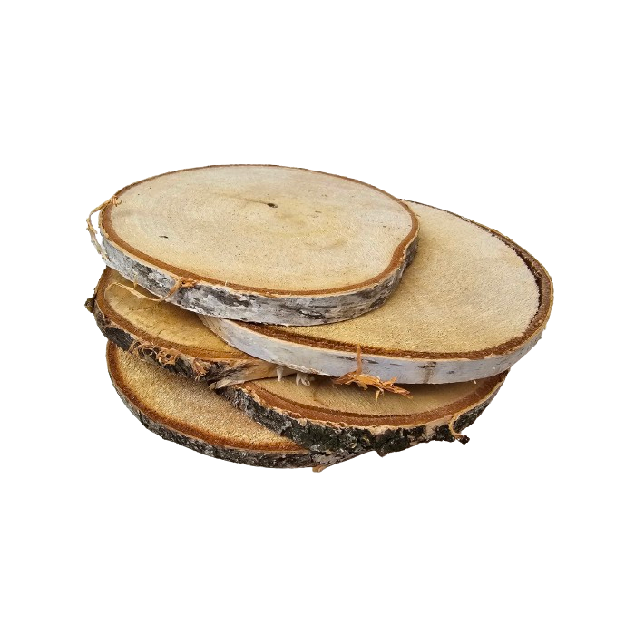 Wood Slice 15-16cm x 5