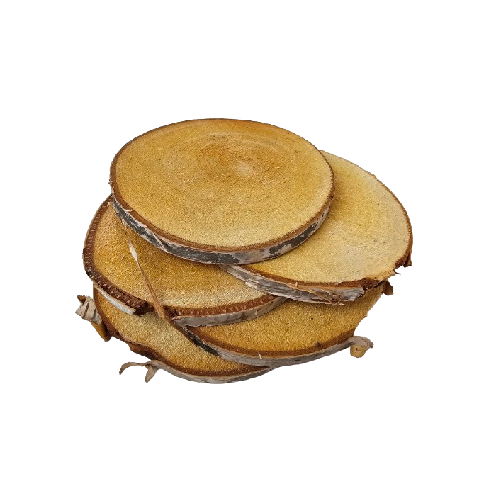 Wood Slice 17-18cm x 5