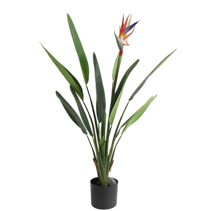Bird of Paradise with Flower U.V F.R - 100cm