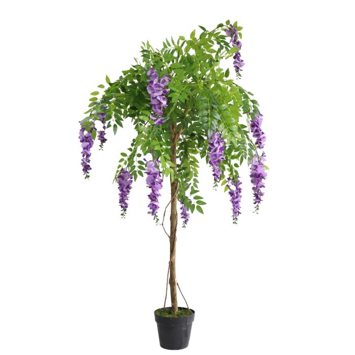 Wisteria Tree U.V F.R - 140cm