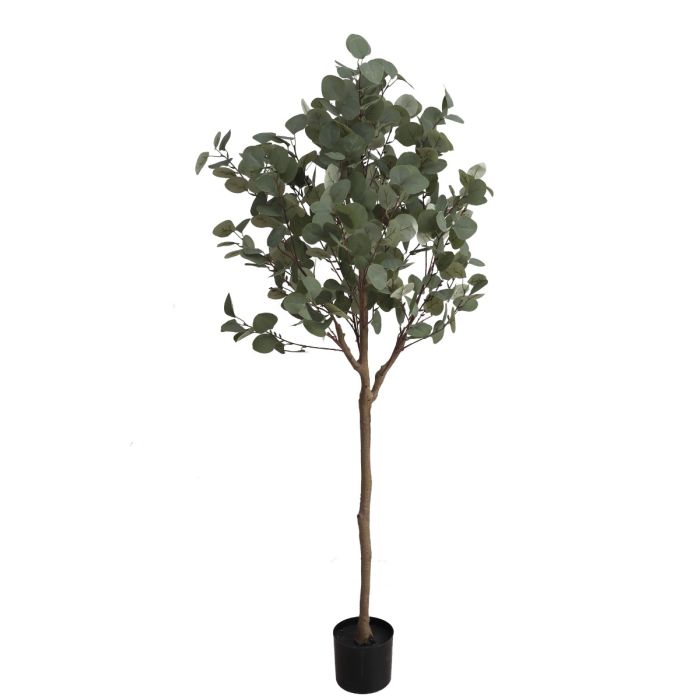 Eucalyptus Tree U.V F.R - 150cm