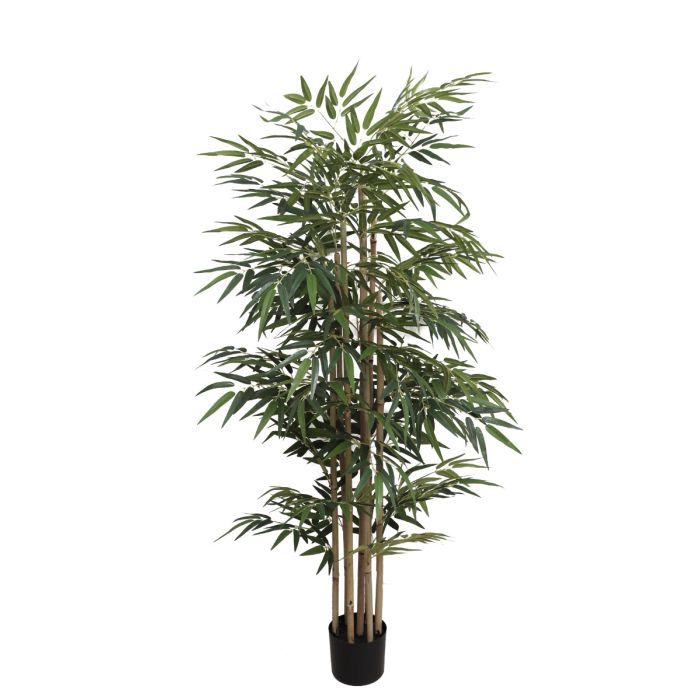 Bamboo Tree U.V F.R - 153cm