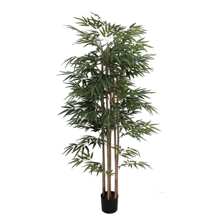 Bamboo Tree U.V F.R - 183cm