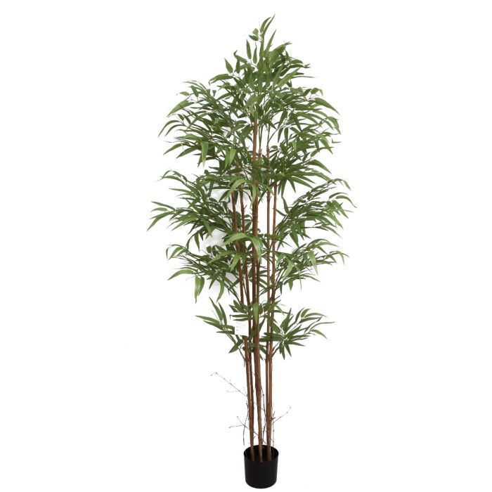 Bamboo Tree U.V F.R - 180cm