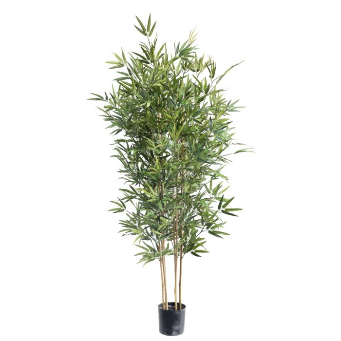 Bamboo Tree U.V F.R - 210cm