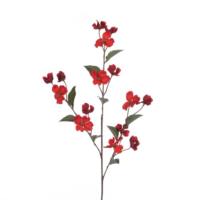 Eco Dogwood Spray 93cm Dark Orange