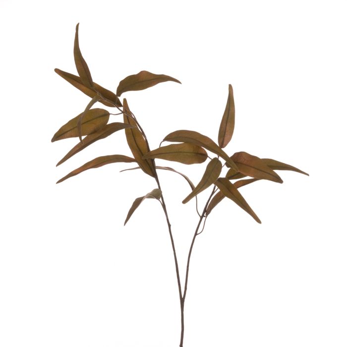 Eco Long Leaf Eucalyptus Spray Green