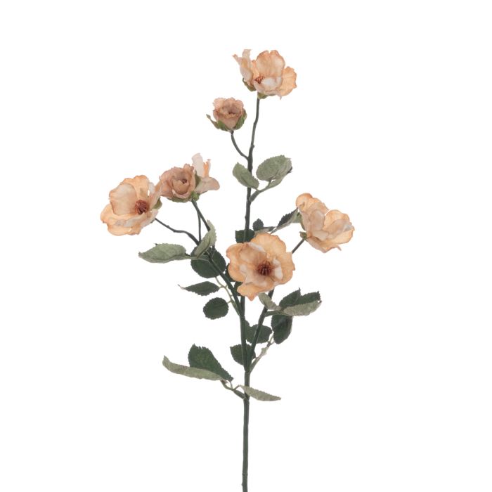 Eco Mini Rose Spray 69cm Beige