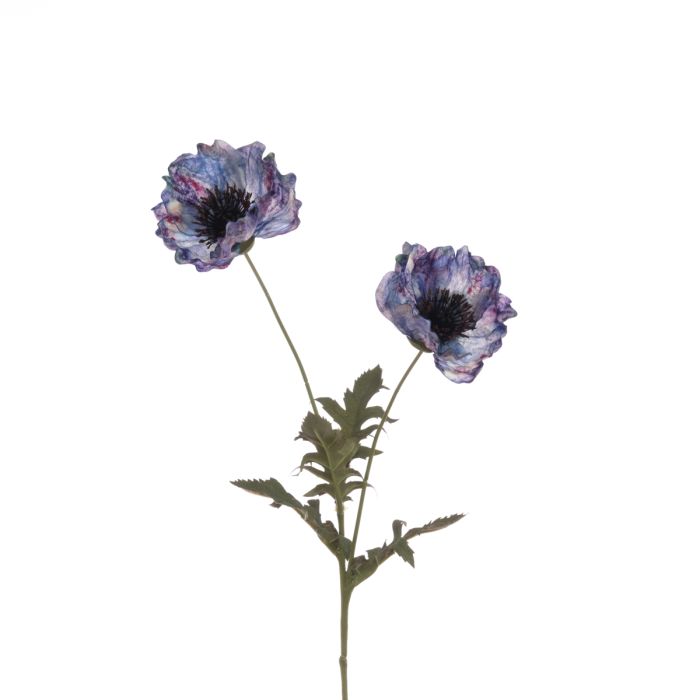 Eco Poppy Spray 69cm Blue