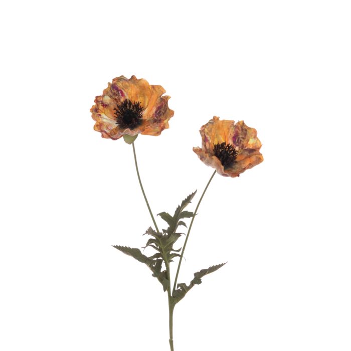 Eco Poppy Spray 69cm Gold