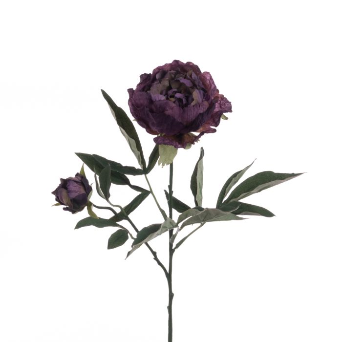 Eco Peony Spray 66cm Plum