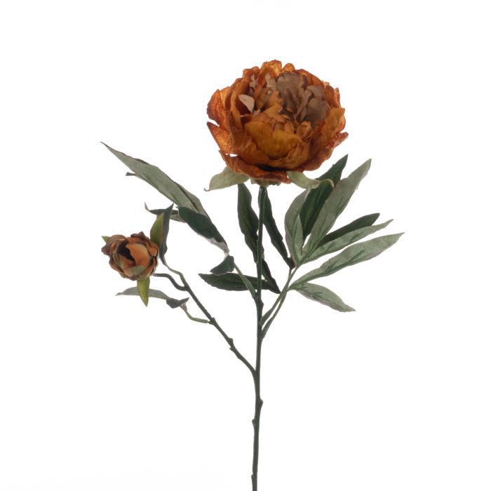 Eco Peony Spray 66cm Gold