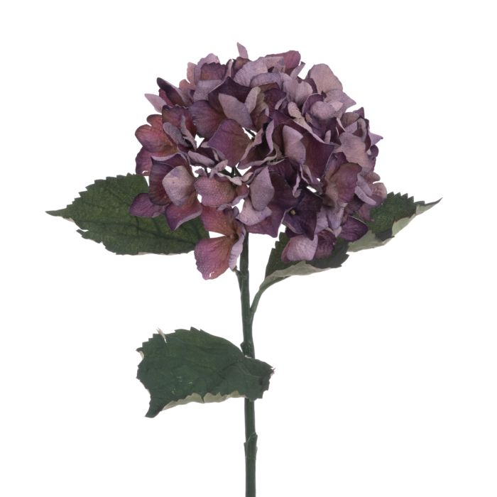 Eco Hydrangea Stem 60cm Plum