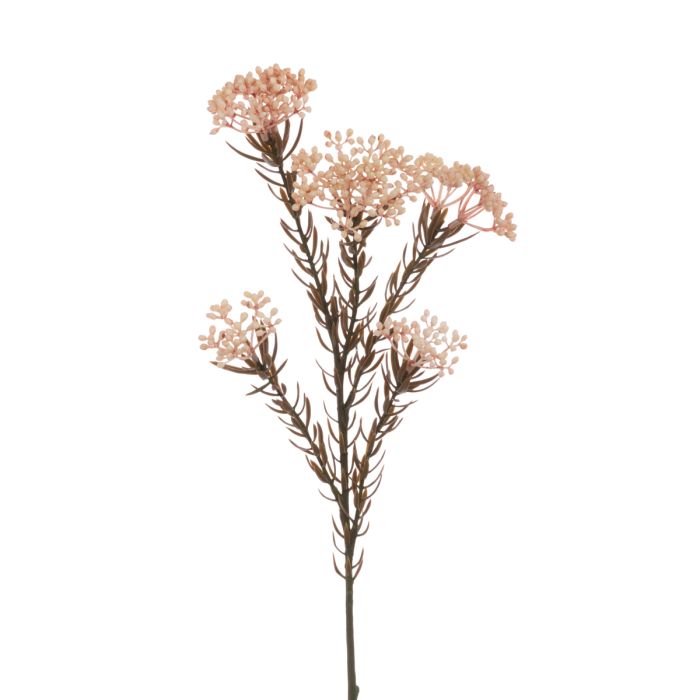 Eco Rice Flower Spray 72cm Beige