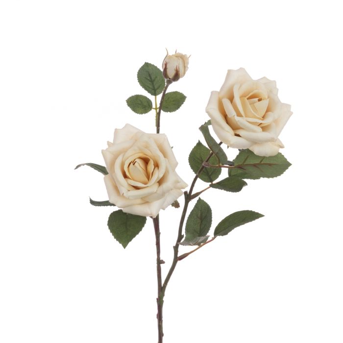 Eco Rose Spray 70cm Beige
