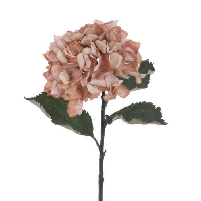 Eco Hydrangea Stem 60cm Beige