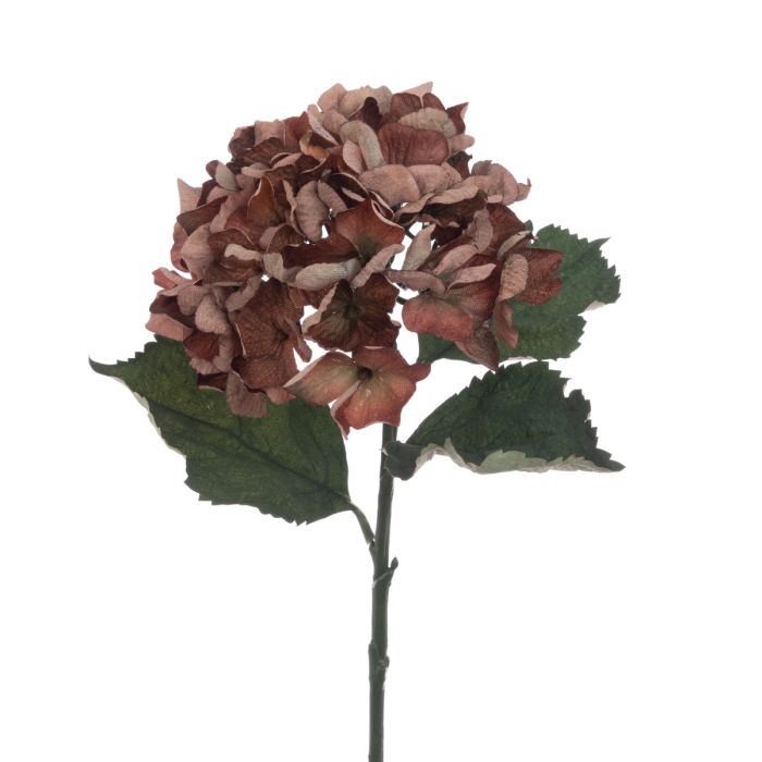 Eco Hydrangea Stem 60cm Brown