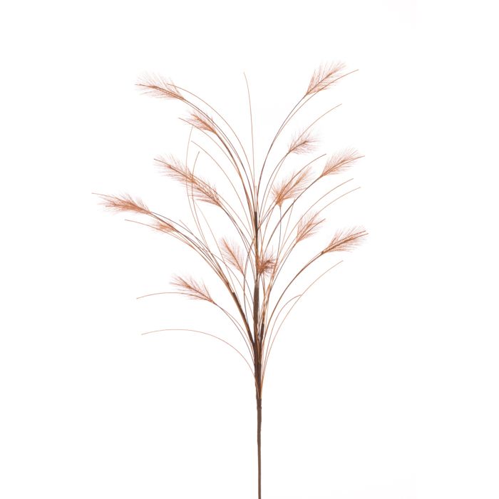 Reed Spray 79cm Brown