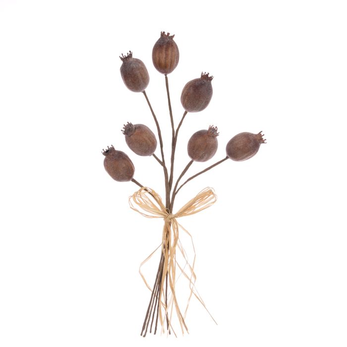 Frosty Poppy Seed Bundle 36cm