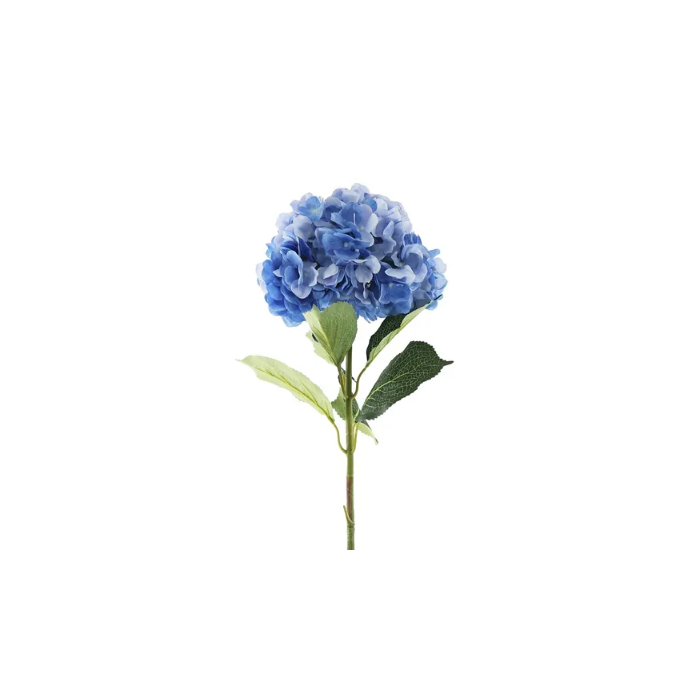 Essential Giant Hydrangea KD - Dark Blue
